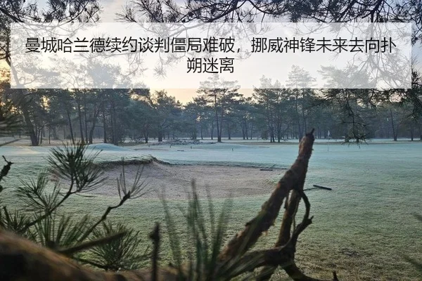 man-cheng-ha-lan-de-xu-yue-tan-pan-jiang-ju-nan-po-nuo-wei-shen-feng-wei-lai-qu-xiang-pu-shuo-mi-li-2-480.jpg